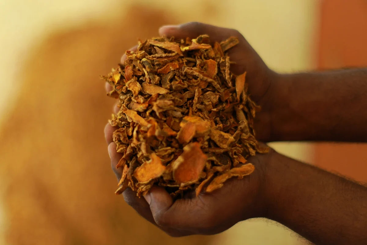 The Real Story of Turmeric: From a Kitchen Spice to the Laboratory of Modern Science