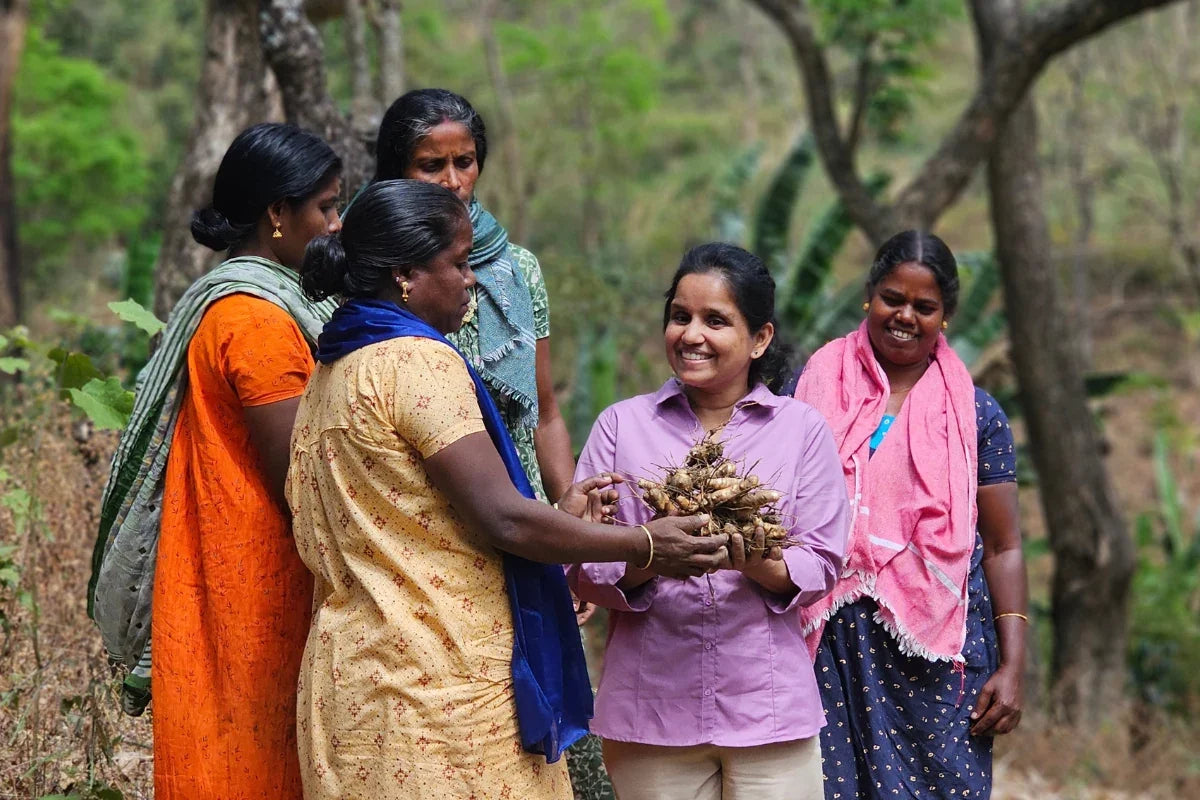 How Geethas Works With Farmers to Bring Quality Turmeric to Families
