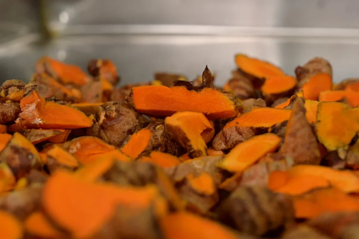 Curcumin in Turmeric: Benefits, Nutrition & Traditional Wellness Explained