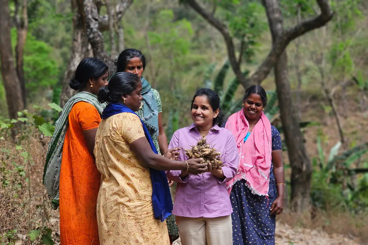 Geethas turmeric brand founder story and global turmeric movement