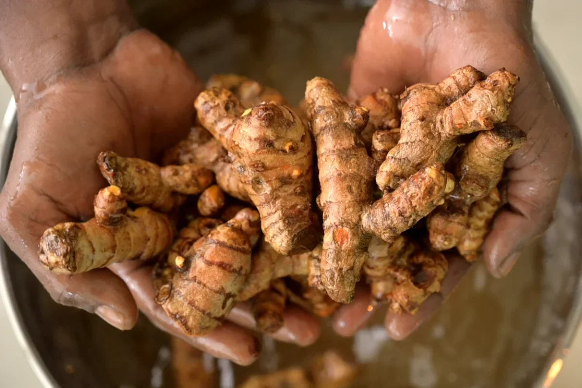 Turmeric: Benefits, uses and nutritional value
