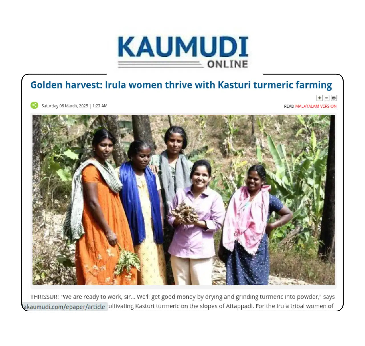 Kaumudi Online news article highlighting Irula women community cultivating Kasturi turmeric for Geethas.