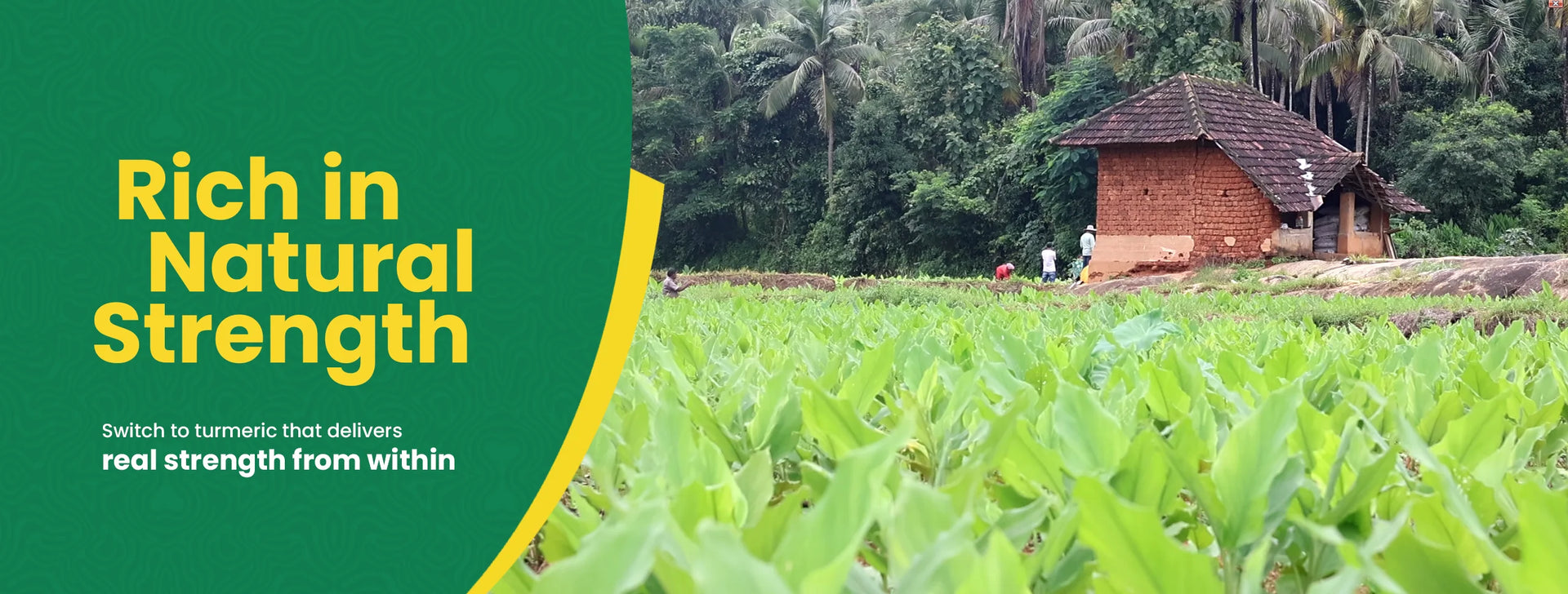 Geethas banner image - Farm with a small building and lush greenery, featuring text about "Rich in Natural Strength".
