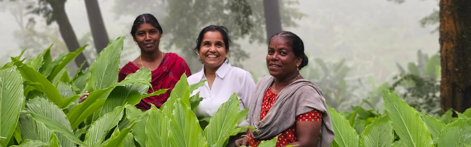 Geetha with farmers at Attapadi cultivating turmeric for Geethas woman-led turmeric superfood brand.
