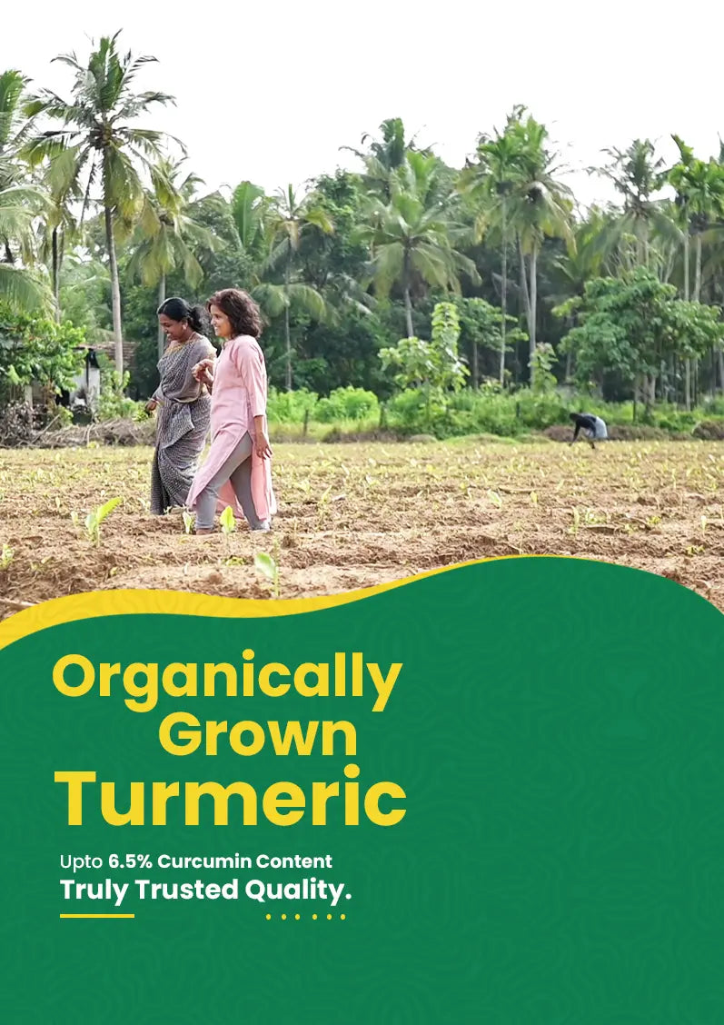 Geethas mobile banner image -  People working in a field with text about "organically grown turmeric".