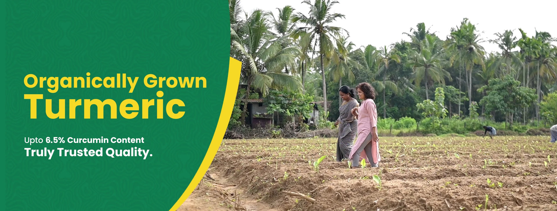 Geethas banner image -  People working in a field with text about "organically grown turmeric".