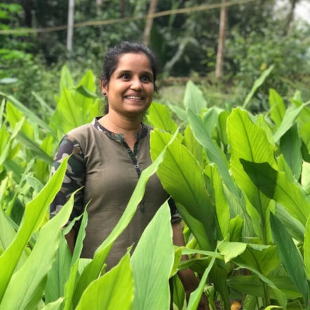Woman standing among green plants in a natural turmeric field